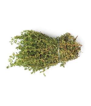 Thyme – Per Bunch